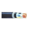 Havells 1.5 Sqmm 10 Core Armoured Low Tension Control Cable, 2XWY/2XFY, Length: 100 m